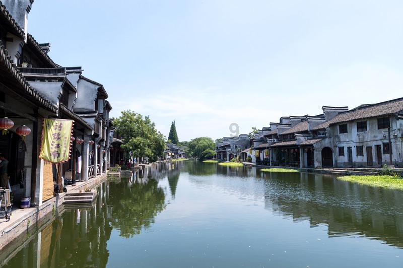 破碎的动物图形